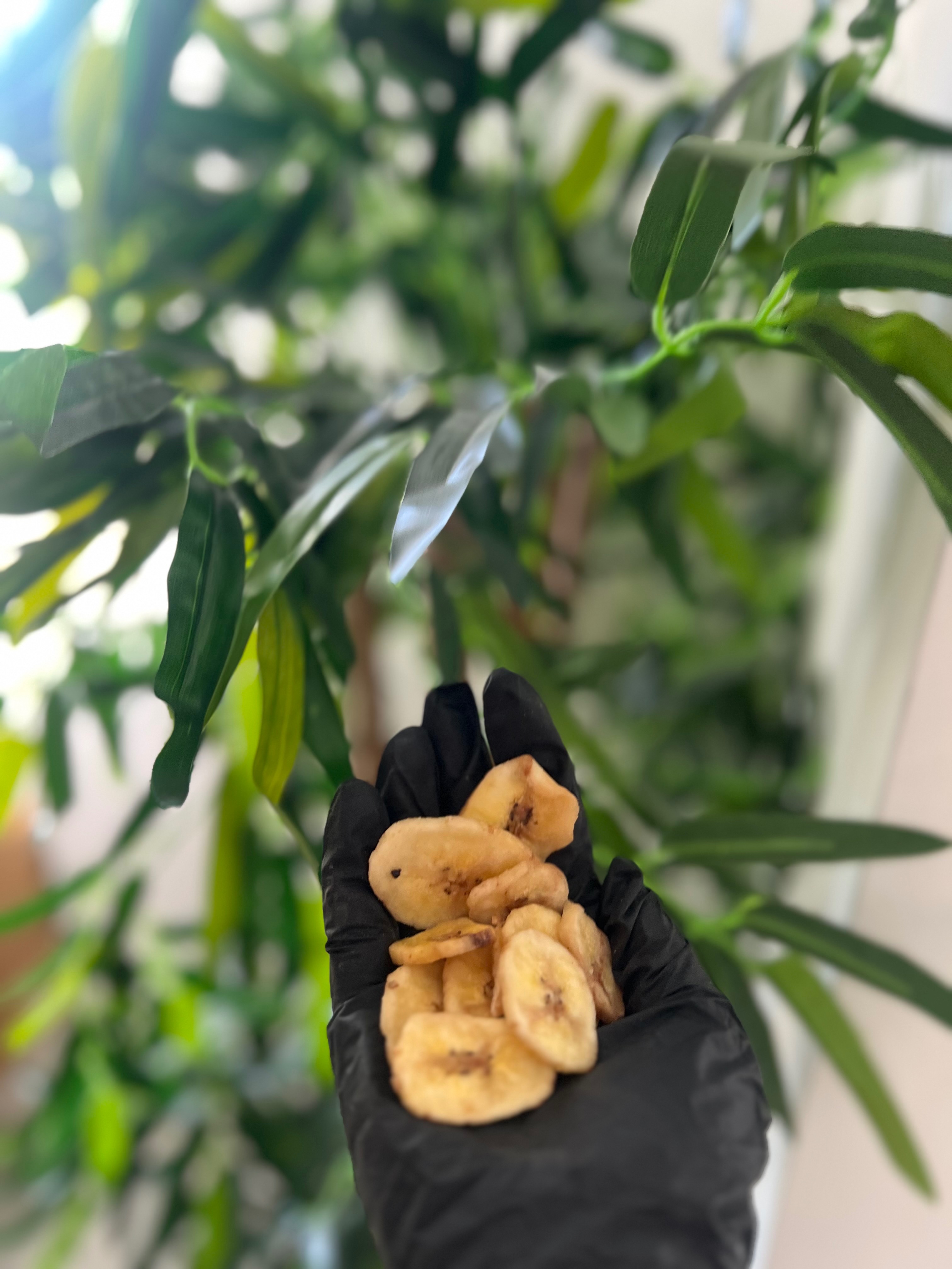 Freeze dried banana